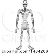 Clipart Of A Black And White Standing Lizard Man Royalty Free Vector Illustration