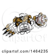 Clipart Of A Vicious Tough Bulldog Monster Shredding Through A Wall With A Baseball In One Hand Royalty Free Vector Illustration