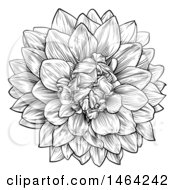 Clipart Of A Black And White Dahlia Or Chrysanthemum Flower In Woodcut Style Royalty Free Vector Illustration