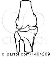Poster, Art Print Of Black And White Human Knee Joint