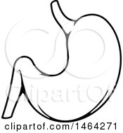 Poster, Art Print Of Black And White Human Stomach