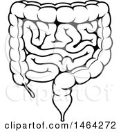Clipart Of A Black And White Human Human Intestines Royalty Free Vector Illustration by Vector Tradition SM