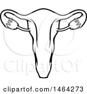 Clipart Of A Black And White Human Uterus Royalty Free Vector Illustration by Vector Tradition SM