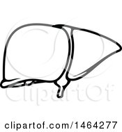 Clipart Of A Black And White Human Liver Royalty Free Vector Illustration