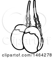 Clipart Of A Black And White Human Testicles Royalty Free Vector Illustration