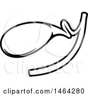 Clipart Of A Black And White Human Gallbladder Royalty Free Vector Illustration