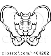Clipart Of A Black And White Human Pelvis Royalty Free Vector Illustration by Vector Tradition SM