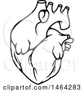 Poster, Art Print Of Black And White Human Heart
