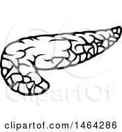 Clipart Of A Black And White Human Pancreas Royalty Free Vector Illustration