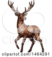 Poster, Art Print Of Sketched Deer