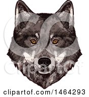 Poster, Art Print Of Sketched Wolf Face