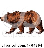 Clipart Of A Sketched Bear Royalty Free Vector Illustration by Vector Tradition SM
