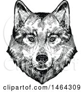 Poster, Art Print Of Sketched Black And White Wolf Face