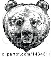 Clipart Of A Sketched Black And White Bear Royalty Free Vector Illustration