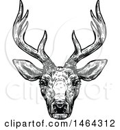 Poster, Art Print Of Sketched Black And White Deer