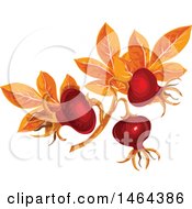 Leaves And Rose Hips