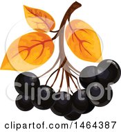 Poster, Art Print Of Leaves And Black Currants