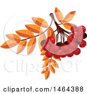 Poster, Art Print Of Leaves And Red Currants