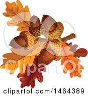 Poster, Art Print Of Acorns And Autumn Oak Leaves