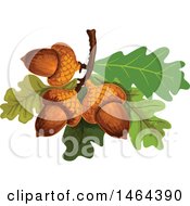Clipart Of Acorns And Oak Leaves Royalty Free Vector Illustration