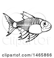 Clipart Of A Black And White Xray Fish Royalty Free Vector Illustration