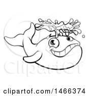 Clipart Of A Black And White Whale Spouting Water Royalty Free Vector Illustration by AtStockIllustration