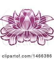 Purple Blooming Lotus Flower