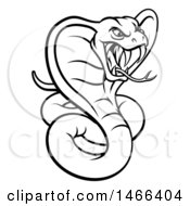 Poster, Art Print Of Black And White Angry Green King Cobra Snake