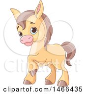 Clipart Of A Cute Baby Horse Royalty Free Vector Illustration