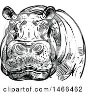 Poster, Art Print Of Sketched Black And White Hippo