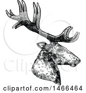 Sketched Black And White Profiled Deer Or Carbiou Head
