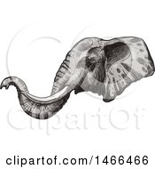 Clipart Of A Sketched Elephant Head In Profile Royalty Free Vector Illustration
