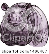 Poster, Art Print Of Sketched Hippo