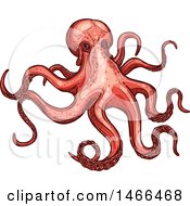 Clipart Of A Sketched Octopus Royalty Free Vector Illustration