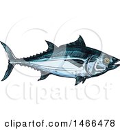 Clipart Of A Sketched Tuna Fish Royalty Free Vector Illustration