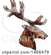 Sketched Profiled Deer Or Carbiou Head