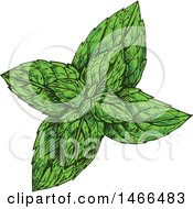 Clipart Of A Sketched Herb Peppermint Royalty Free Vector Illustration by Vector Tradition SM