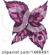 Poster, Art Print Of Sketched Herb Purple Basil