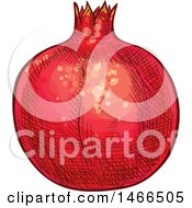 Clipart Of A Sketched Pomegranate Royalty Free Vector Illustration