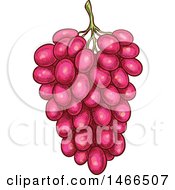 Poster, Art Print Of Sketched Bunch Of Red Grapes