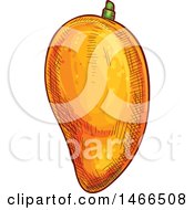 Clipart Of A Sketched Mango Royalty Free Vector Illustration by Vector Tradition SM