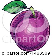 Clipart Of A Sketched Plum Royalty Free Vector Illustration by Vector Tradition SM