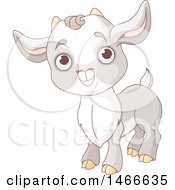 Poster, Art Print Of Cute Baby Goat Kid