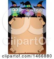 Clipart Of A Group Of Witch Owls In A Halloween Border Royalty Free Vector Illustration by visekart