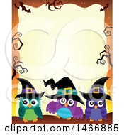 Group Of Witch Owls In A Halloween Border