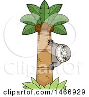 Poster, Art Print Of Happy Sloth Peeking Around A Palm Tree
