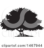 Poster, Art Print Of Tree With A Heart On The Trunk Black And White Silhouette