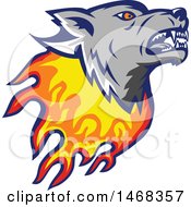 Poster, Art Print Of Flaming Wolf Mascot Head