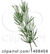 Clipart Of A Sketched Herb Rosemary Royalty Free Vector Illustration
