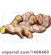 Clipart Of A Sketched Herb Ginger Root Royalty Free Vector Illustration by Vector Tradition SM